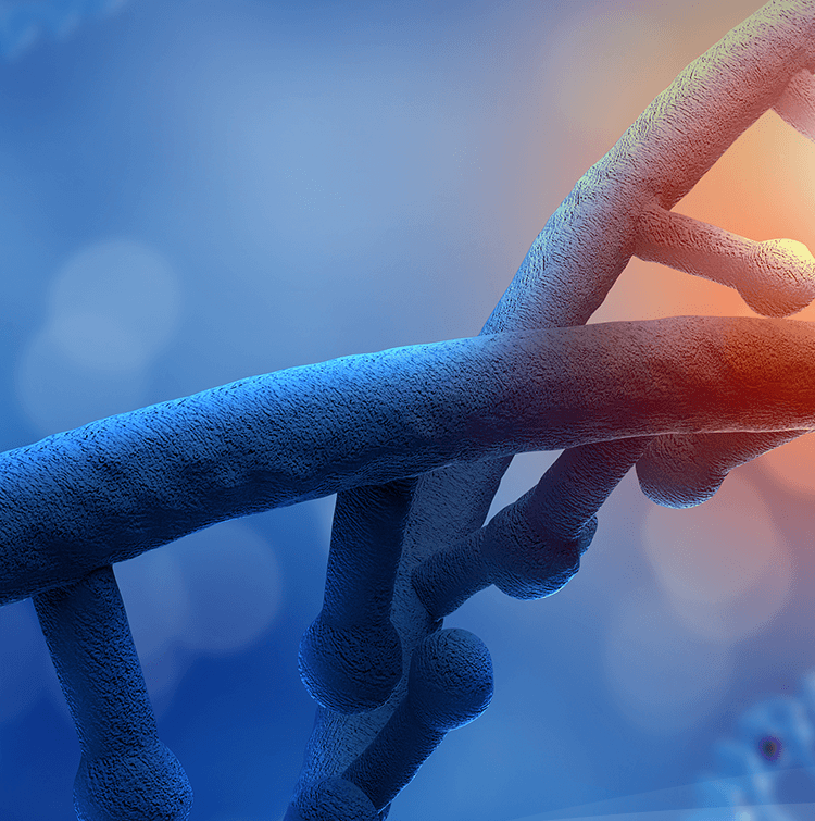 致力于成为最优质产品和服务供应商