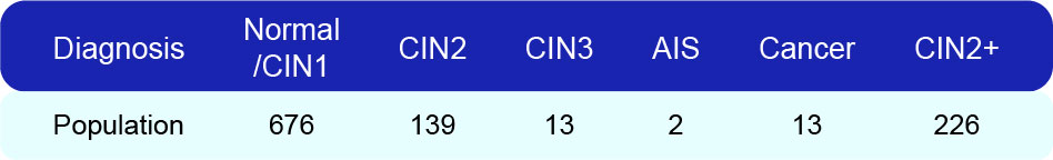 bifa必发(中国区)唯一官方网站