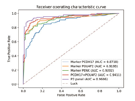 bifa必发(中国区)唯一官方网站