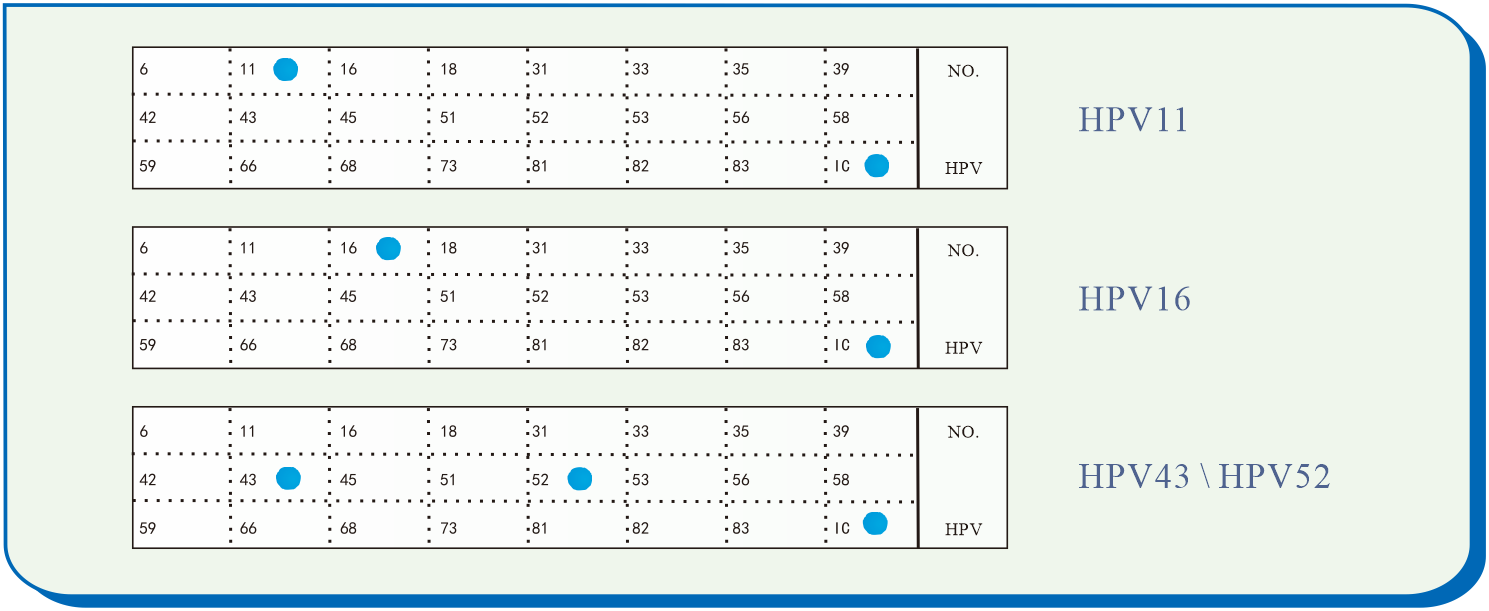 bifa必发(中国区)唯一官方网站