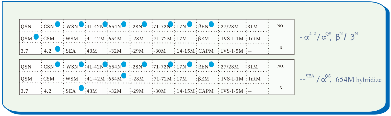 bifa必发(中国区)唯一官方网站