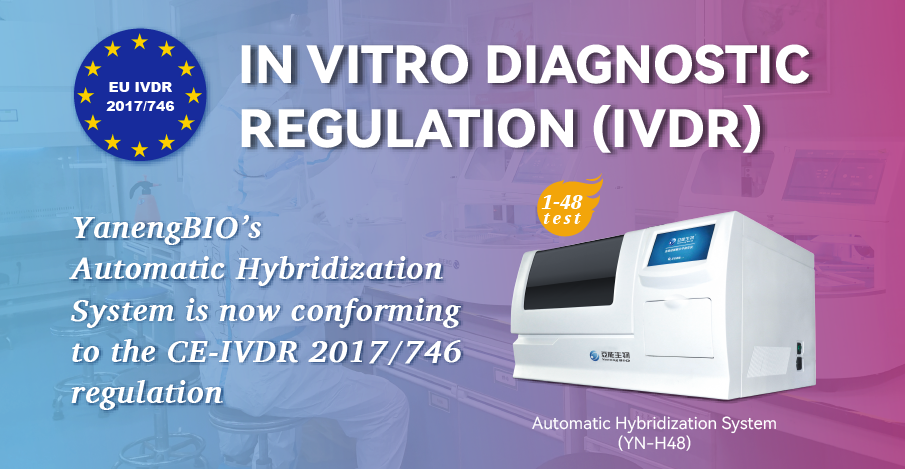 bifa必发(中国区)唯一官方网站